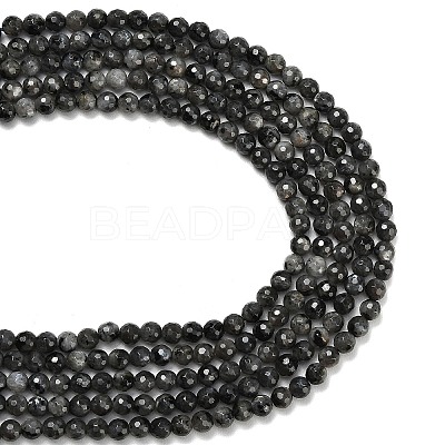 Natural Larvikite Beads Strands G-C280-B06-6mm-1
