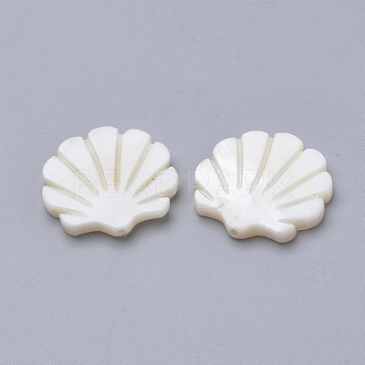 Natural Freshwater Shell Beads SHEL-T007-05-1