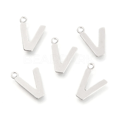 Non-Tarnish 201 Stainless Steel Charms STAS-C021-06P-V-1