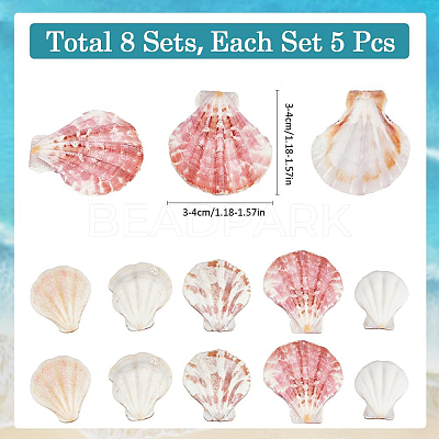 40Pcs Natural Scallop Shell Beads SSHEL-SP0001-02-1