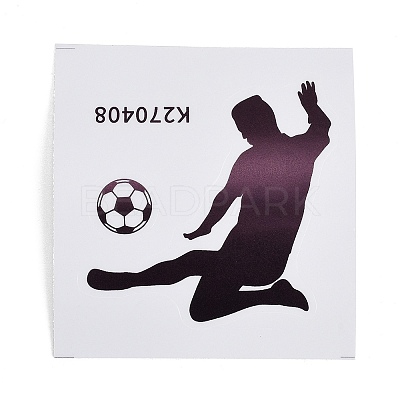 PVC Self-Adhesive Picture Stickers PL-Z001-01B-1