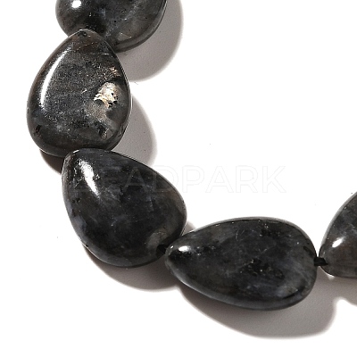 Natural Larvikite Beads Strands G-I377-A10-1