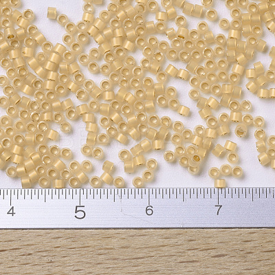 MIYUKI Delica Beads Small SEED-X0054-DBS0230-1