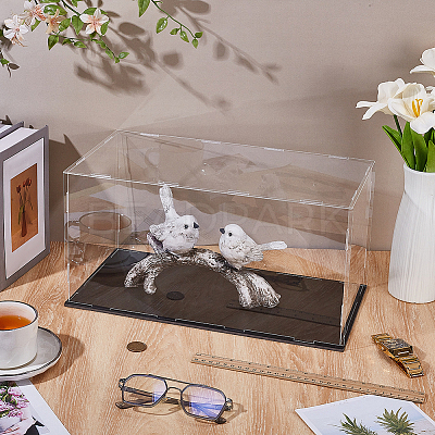 Acrylic Display Boxes CON-WH0089-163B-1