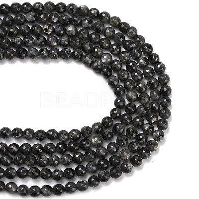 Natural Larvikite Beads Strands G-C280-B06-8mm-1