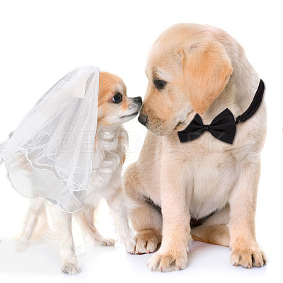Adjustable Polyester Dog Collar & Wedding Bride Veil Sets AJEW-DR0001-74-1