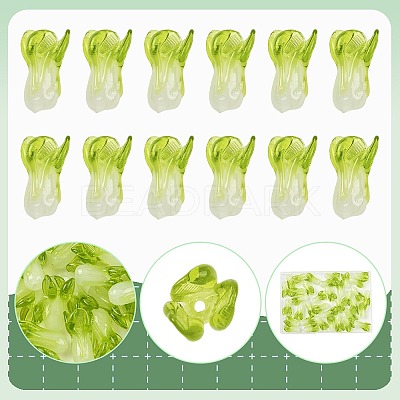 36Pcs Handmade Lampwork Beads LAMP-FS0001-74-1