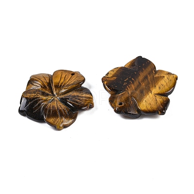Natural Tiger Eye Carved Pendants G-B097-01A-07-1
