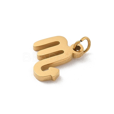 304 Stainless Steel Charms LS-STAS-R001-04G-08-1
