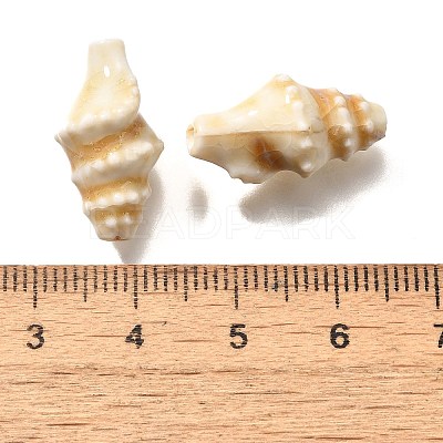 Handmade Porcelain Beads PORC-H013-03-08-1