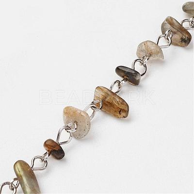 Natural & Synthetic Gemstone Chips Handmade Beaded Chains AJEW-JB00280-1