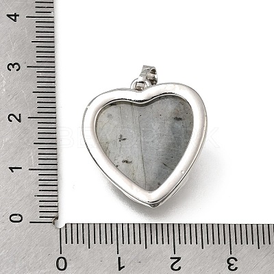 Natural Labradorite Pendants GG-CBA7610-04P-05-1