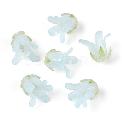 Heat Shrink Acrylic Bead Caps OACR-N155-04A-1