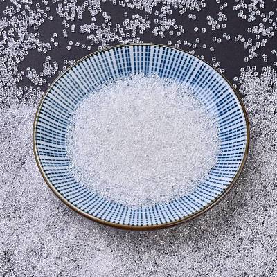 MIYUKI Delica Beads Small SEED-X0054-DBS0141-1