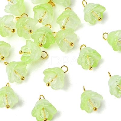 20Pcs Glass & Acrylic Flower Pendants PALLOY-YW00107-08-1
