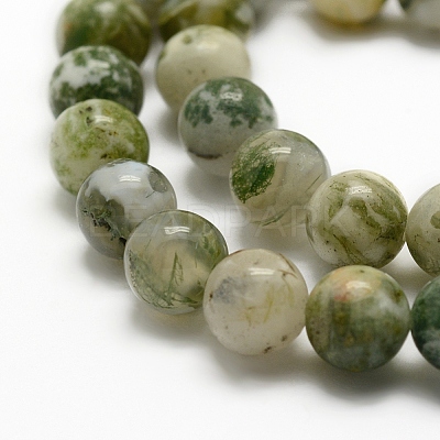 Natural Tree Agate Beads Strands G-G735-02-6mm-1