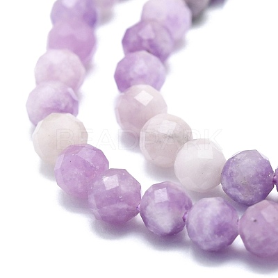 Natural Lepidolite/Purple Mica Stone Beads Strands G-P457-A04-01-1