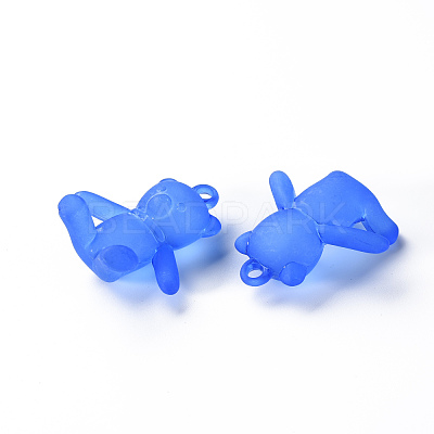 Frosted Acrylic Pendants MACR-S373-60K-06-1