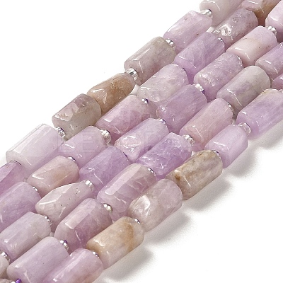 Natural Kunzite Beads Strands G-N327-06-36-1