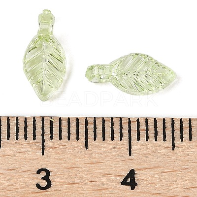 Transparent Acrylic Charms TACR-F009-11B-1
