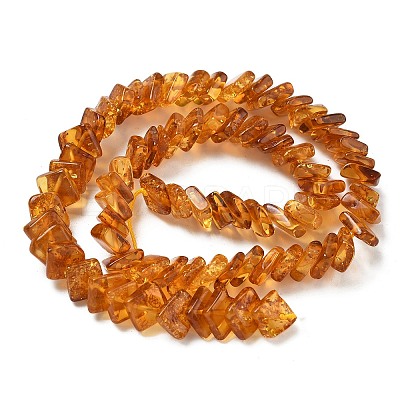 Natural Amber Beads Strands G-K376-C03-01-1
