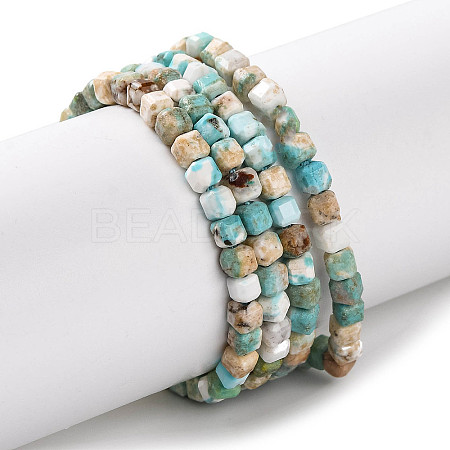 Natural Howlite Beads Strands G-H025-04A-1