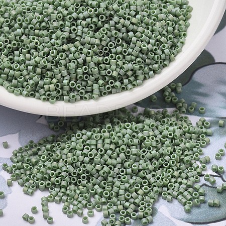 MIYUKI Delica Beads X-SEED-J020-DB2310-1