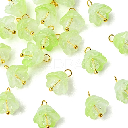 20Pcs Glass & Acrylic Flower Pendants PALLOY-YW00107-08-1