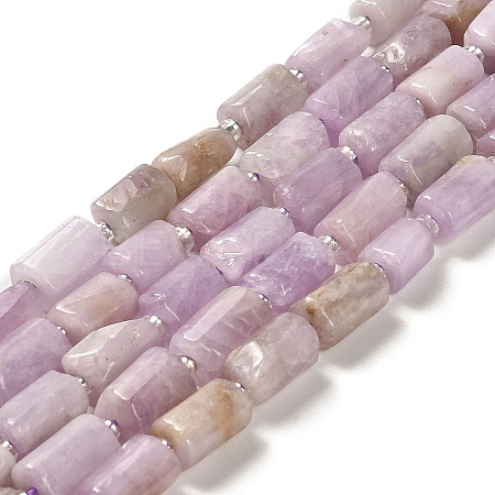 Natural Kunzite Beads Strands G-N327-06-36-1
