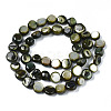 Natural Trochid Shell/Trochus Shell Beads Strands SHEL-S258-083-B01-2