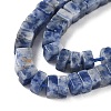 Natural Blue Spot Jasper Beads Strands G-I394-A08-4