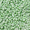 6/0 Opaque Colours Seep Glass Seed Beads X-SEED-F003-04A-06-3