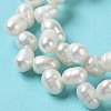 Natural Cultured Freshwater Pearl Beads Strands PEAR-J007-41-4