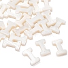 Natural Freshwater Shell Beads SHEL-T012-59I-2