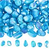 100Pcs Natural Trochid Shell/Trochus Shell Beads BSHE-SC0001-16A-1