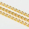 Iron Twisted Chains Curb Chains CHS003Y-G-1
