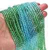 Transparent Painted Glass Beads Strands LS-DGLA-A034-T3mm-A17-2