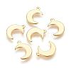 304 Stainless Steel Charms STAS-H557-31G-1