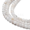 Natural Rainbow Moonstone Beads Strands G-G161-A01-01-4