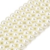 Eco-Friendly Dyed Glass Pearl Round Beads Strands HY-A002-10mm-RB011-1