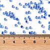 Glass Seed Beads X-SEED-S042-13A-15-4