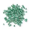 Electroplate Cylinder Seed Beads SEED-R041-02-3