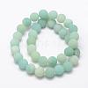 Natural Amazonite Beads Strands G-K209-03A-10mm-2