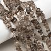 Natural Smoky Quartz Beads Strands G-P622-A01-01-1