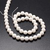 Shell Pearl Beads Strands X-BSHE-E008-4mm-12-2
