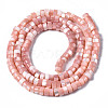 Natural Trochus Shell Beads Strands SHEL-S278-027H-2