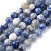 Natural Sodalite Beads Strand GSR8mmC013-4