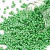 Cylinder Seed Beads SEED-H001-H09-1