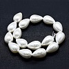 Electroplate Shell Pearl Beads Strands BSHE-G010-10x13mm-01-3