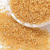 12/0 Round Glass Seed Beads SEED-J018-F12-62-1